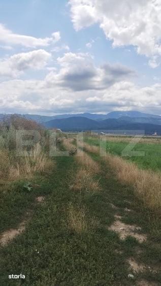 Teren de 10000 mp, în Bartolomeu