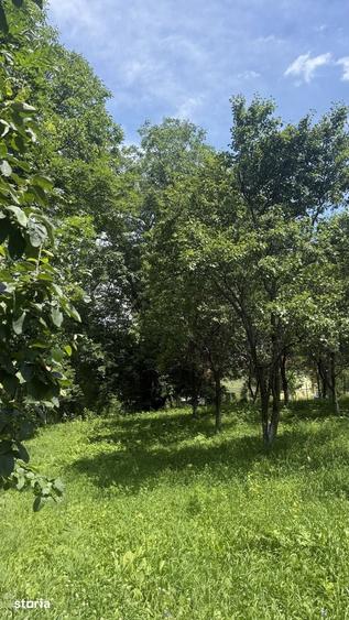 Teren de 2960 mp, în Talea