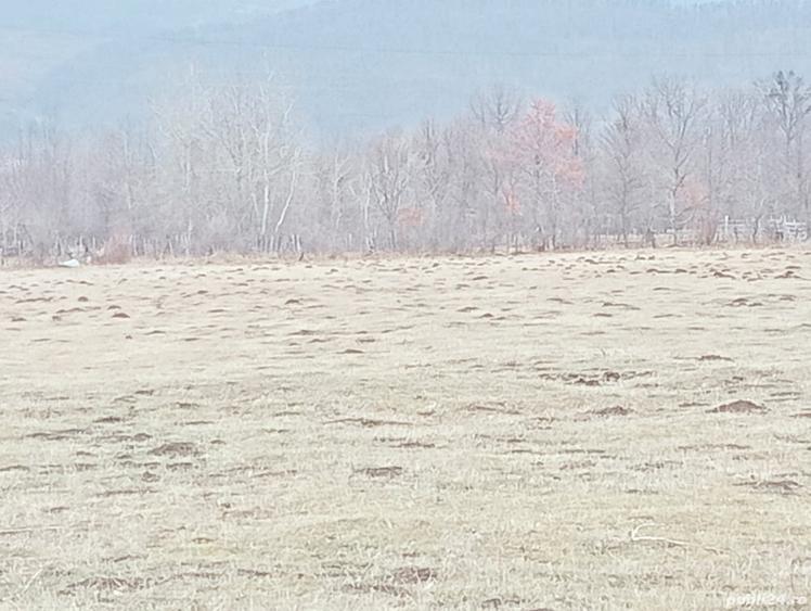 Teren de 11400 mp, în Coman