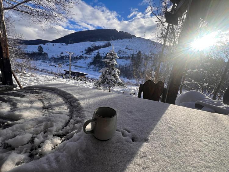 Teren intravilan de 1000 mp, în Valea Doftanei
