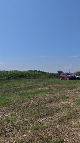 Teren agricol sau zona agrement HALCHIU - langa Lacuri si Balastiera - 3