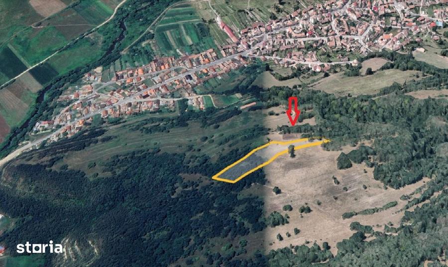 Teren extravilan 5500 mp, la padure zona Selimbar (Mohu) - 2