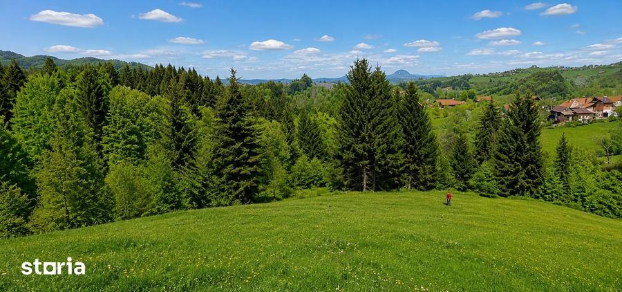 Teren de 18500 mp, în Bran
