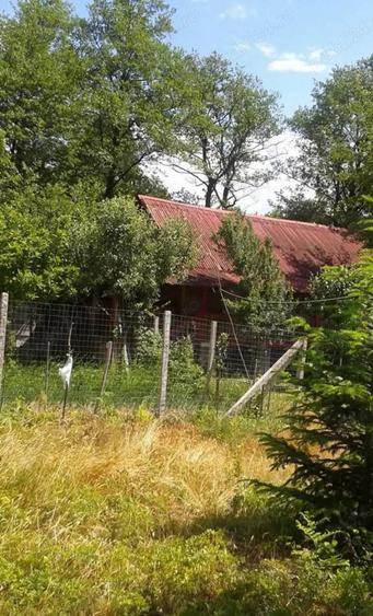 Teren de 80000 mp, în Susani