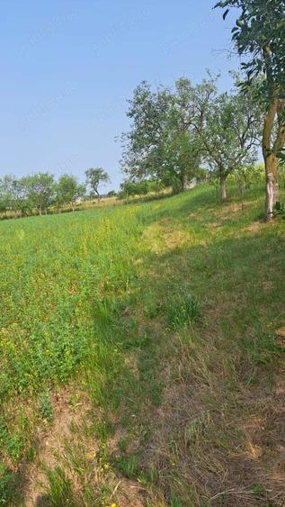 Teren de 2889 mp, în Bencecu de Jos