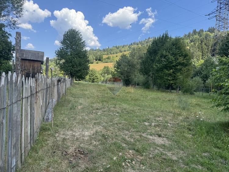 Teren Construcții intravilan de 2860 mp, în Borca