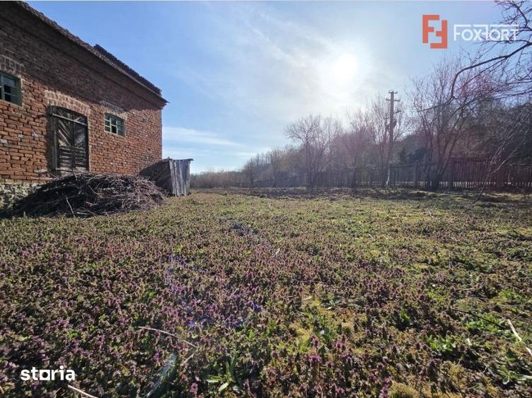 Casă cu 4 camere cu Teren 1440 Mp în Livada