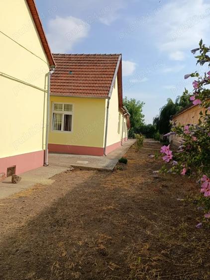 Casă cu 6 camere cu Teren 2465 Mp în Biled