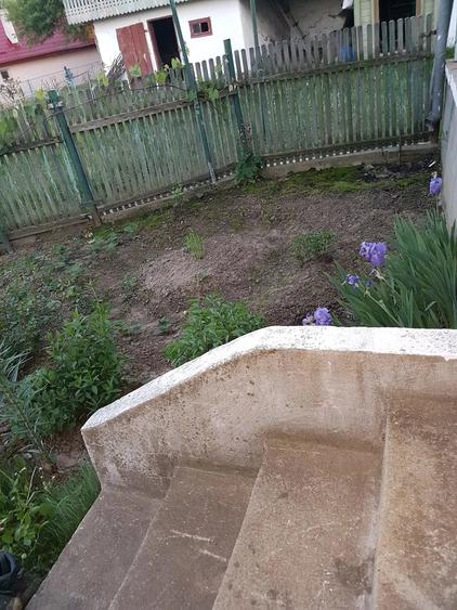 Casă cu 3 camere cu Teren 8400 Mp în Bucșești