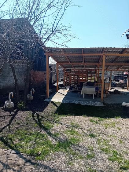 Casă cu Teren 713 Mp în Hăghig