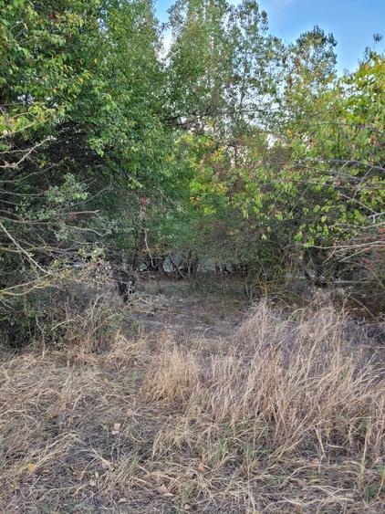 Teren agricol extravilan de 14000 mp, în Cernavodă