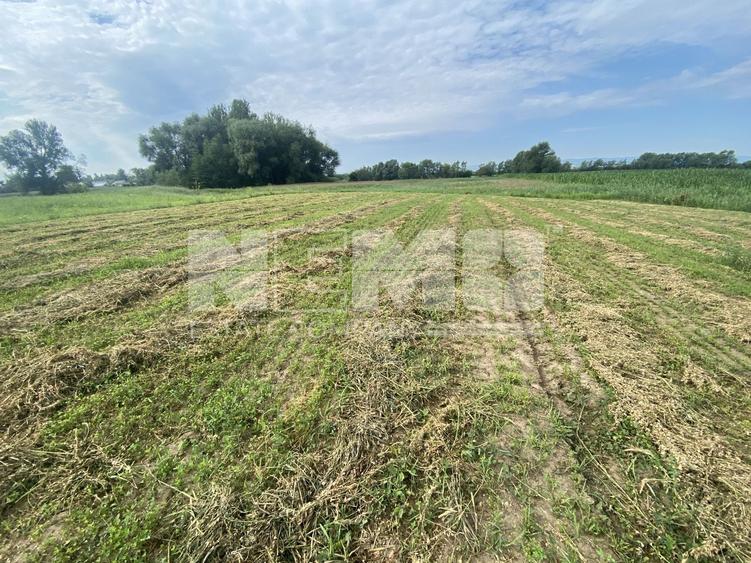 Teren agricol extravilan de 2300 mp, în Satu Mare