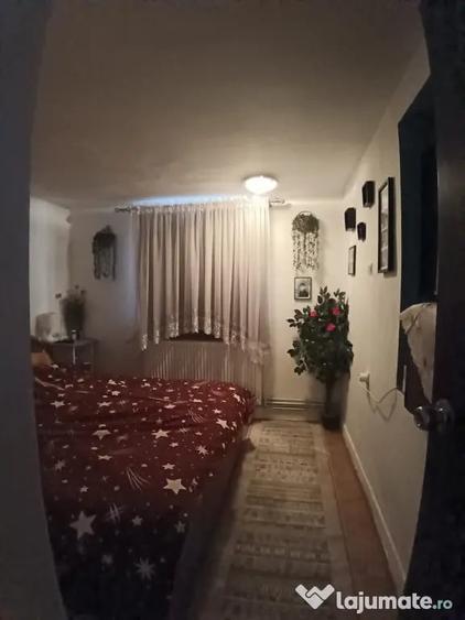 Casă cu 4 camere cu Teren 2300 Mp în Valea Borcutului