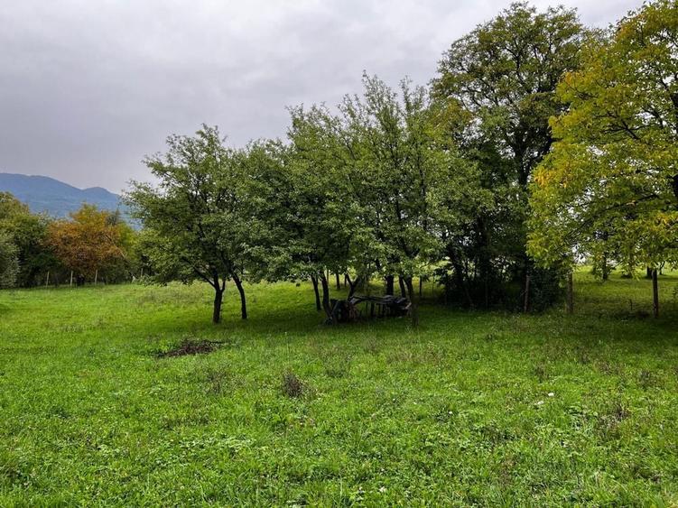 Spațiu comercial, în Hoteni