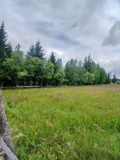 Teren de 6000 mp, în Central
