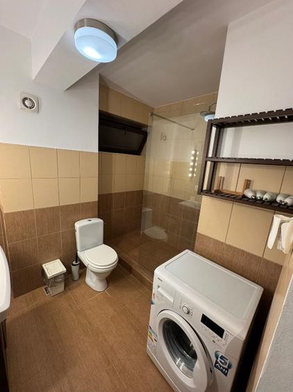 Apartament cu 2 camere decomandat în Roșu