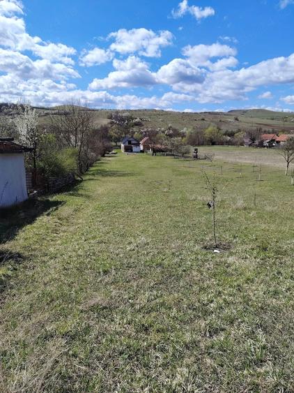 Casă cu Teren 3500 Mp în Pestișu Mic