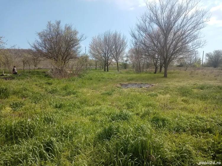 Casă cu 4 camere în Slava Rusă