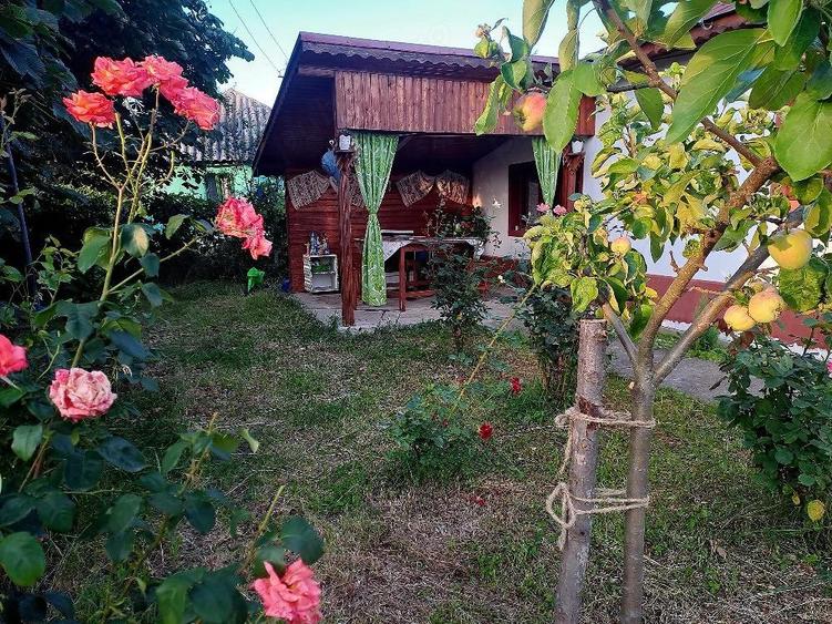 Casa de vanzare-Sat Profa Deal(35km de pitesti) - 7