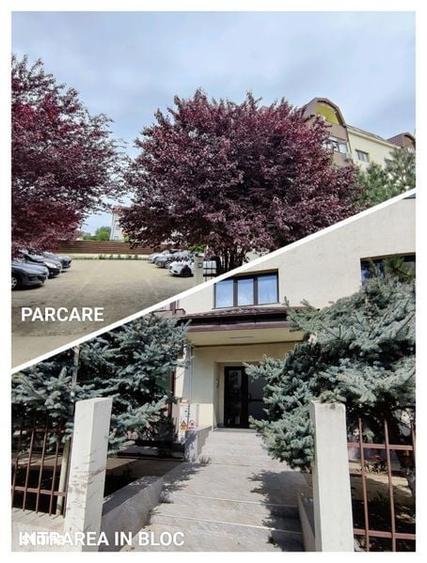 Apartament cu 2 camere în Valea Lupului