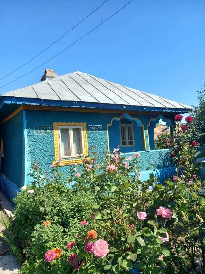 Casă cu 4 camere cu Teren 3590 Mp în Colceag