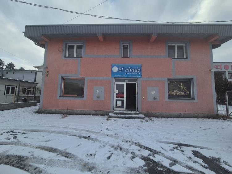 Spațiu comercial zona Traian Vuia de vânzare - 1