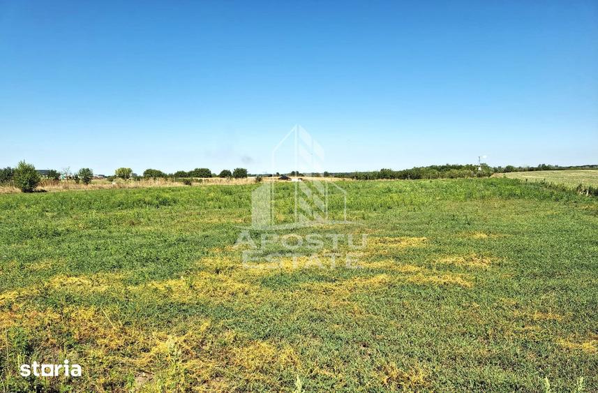 Teren de 6150 mp, în Zădăreni