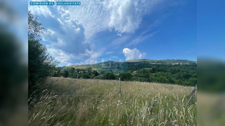 Teren cu potențial turistic, 2 parcele de 10.000 mp  Sacuieu,Cluj - 1
