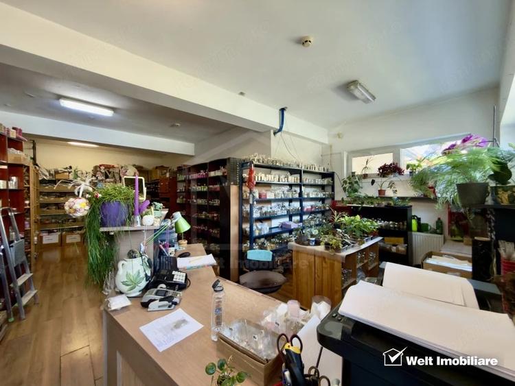 Casa individuala cu poten?ial reziden?ial/comercial Zona Platinia - 8