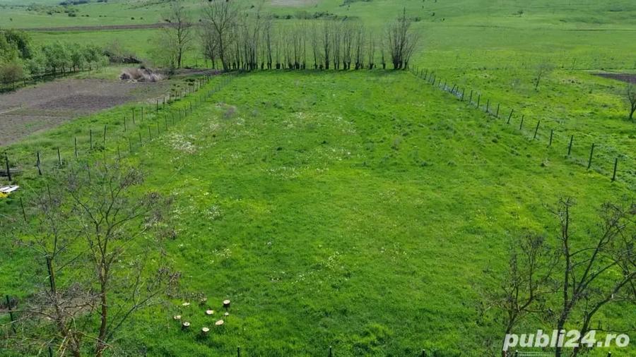 Teren în Ianova