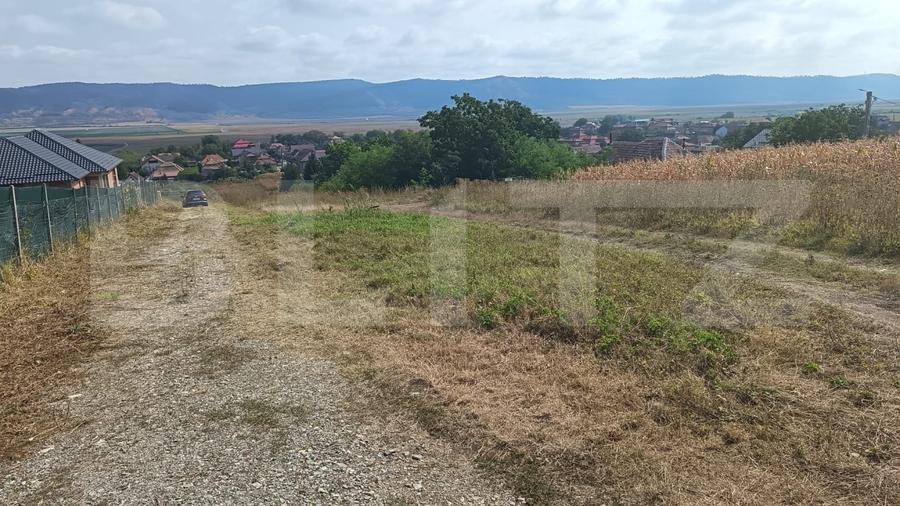 Teren Construcții intravilan de 2358 mp, în Luna