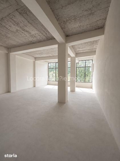 Spa?iu comercial, ?iglina 1, etaj 1+2
