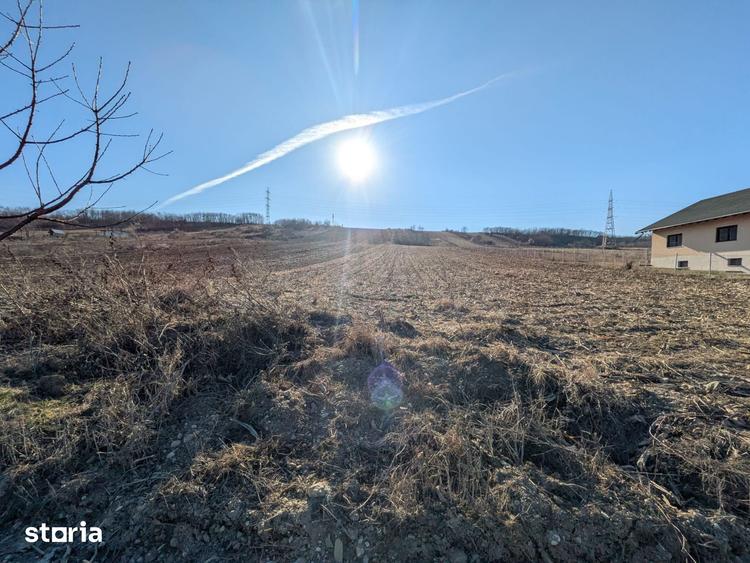 Teren de 10000 mp, în Săucești