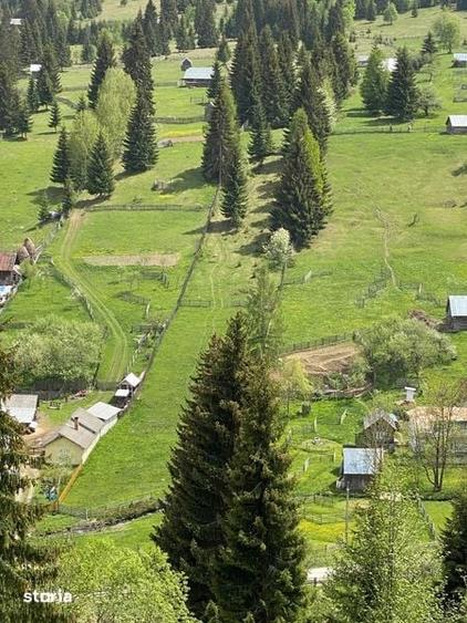 Teren de vanzare in zona de munte - 1