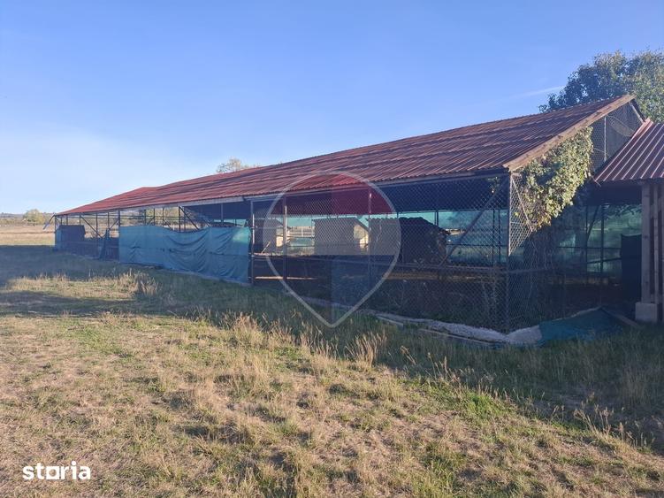 Teren de 51004 mp, în Săpânța