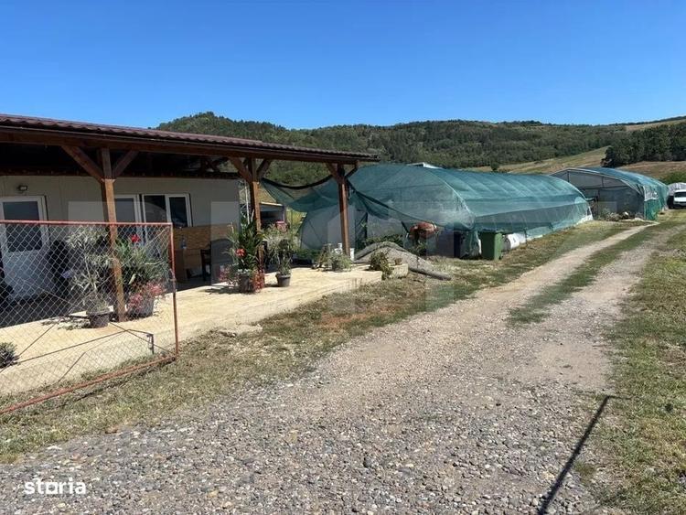 Teren cu sere de vanzare in Ceuasu de Campie! - 2