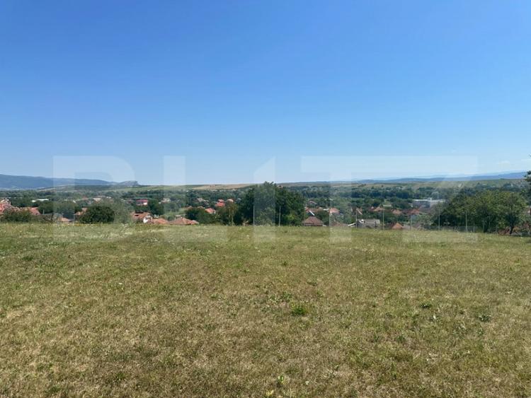 Teren de 1130 mp, în Criș