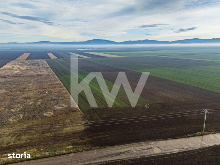 Teren de 16000 mp, în Hărmanului