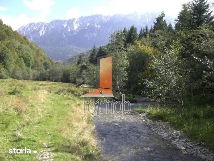 Teren Barsa lui Bucur, Plaiul Foii, Zarnesti - 3