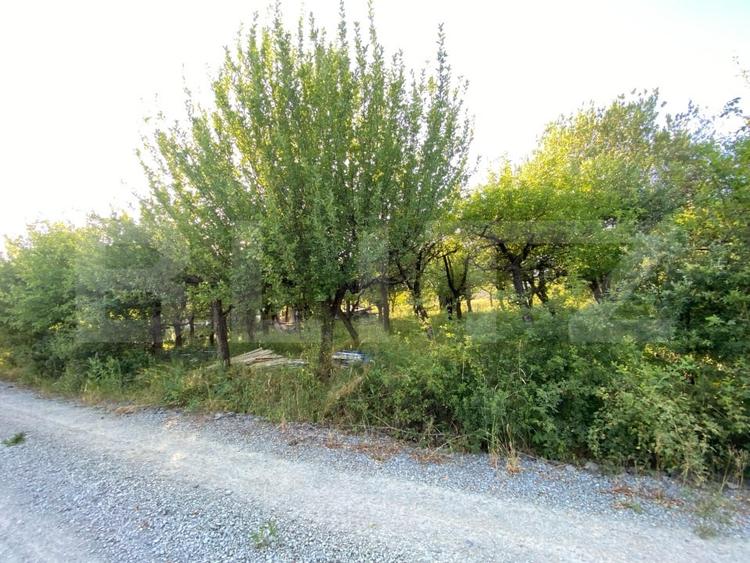 Teren Construcții intravilan de 1600 mp, în Nord