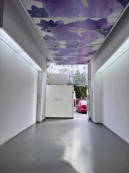 Spațiu comercial, de 41.639999389648 mp, în Ultracentral