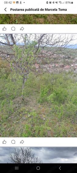 Teren de 5800 mp, în Central