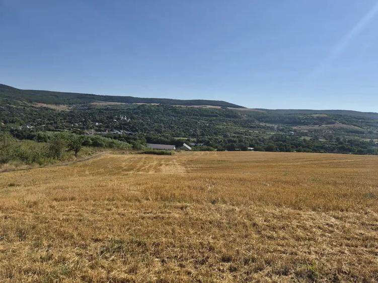 Teren de 15000 mp, în Răducăneni