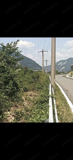 Teren de 500 mp, în Svinița