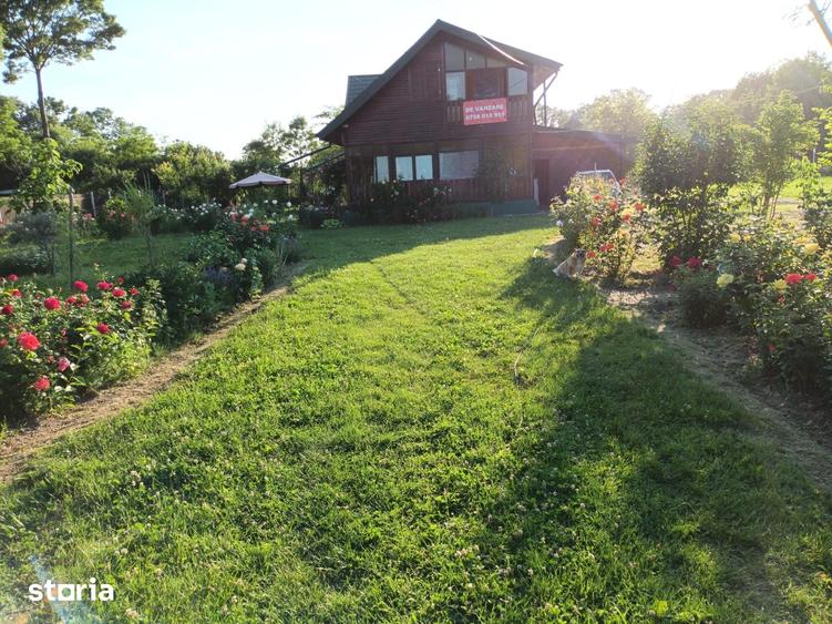 Casă cu 5 camere cu Teren 6000 Mp în Bârla