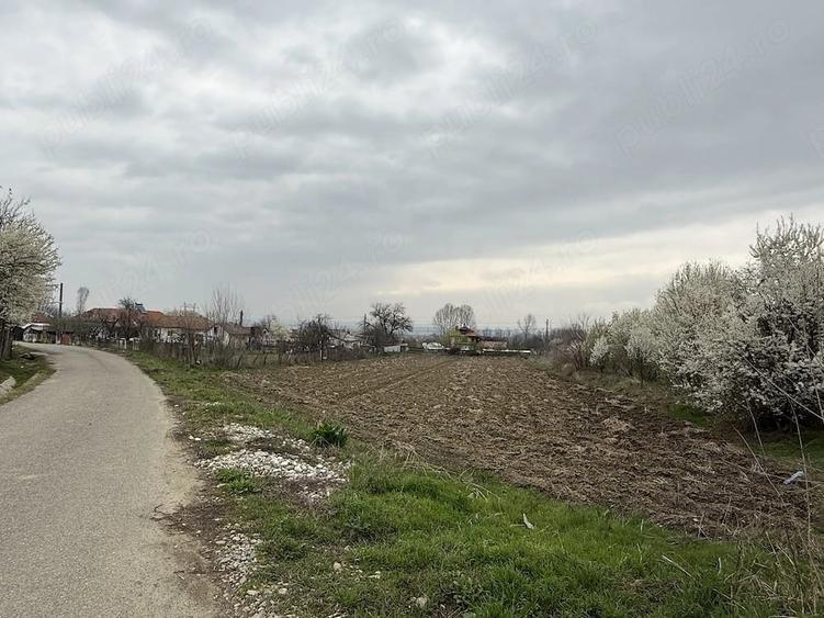 Teren de 2500 mp, în Prodănești