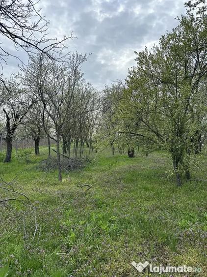 Teren de 7491 mp, în Găiseanca