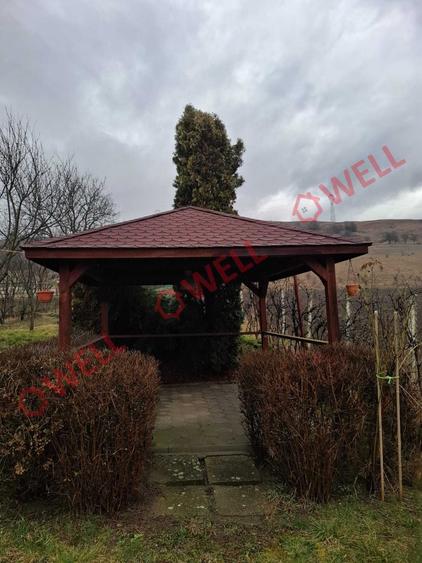 Casă cu 1 camere în Călimănești