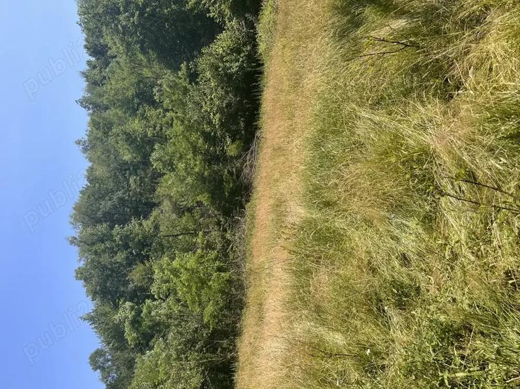 Teren de 2900 mp, în Sintești