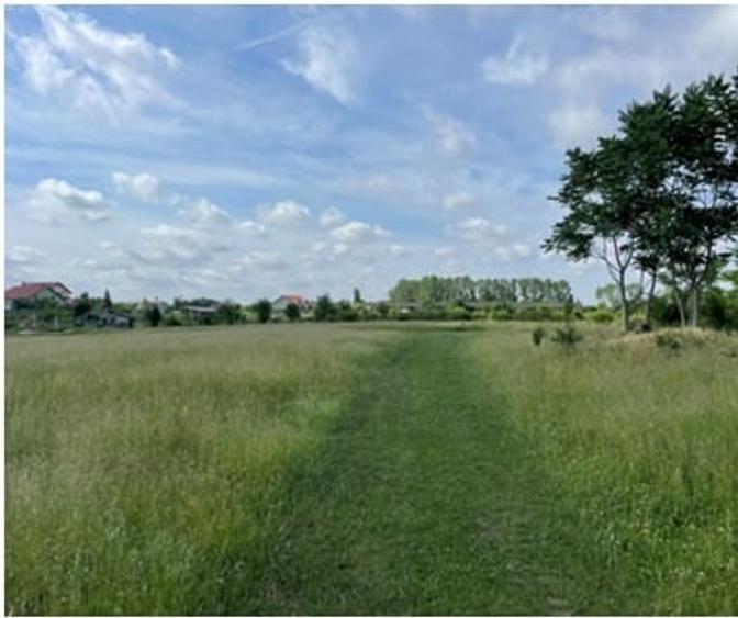 Teren Construcții intravilan de 906 mp, în Sânleani